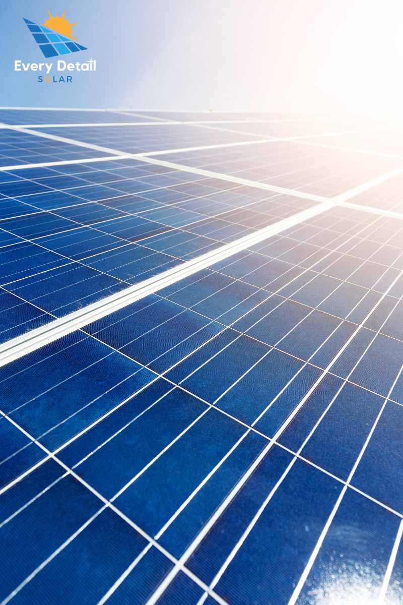 Commercial solar panel cleaning team at work